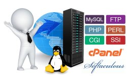 (image for) Web Hosting